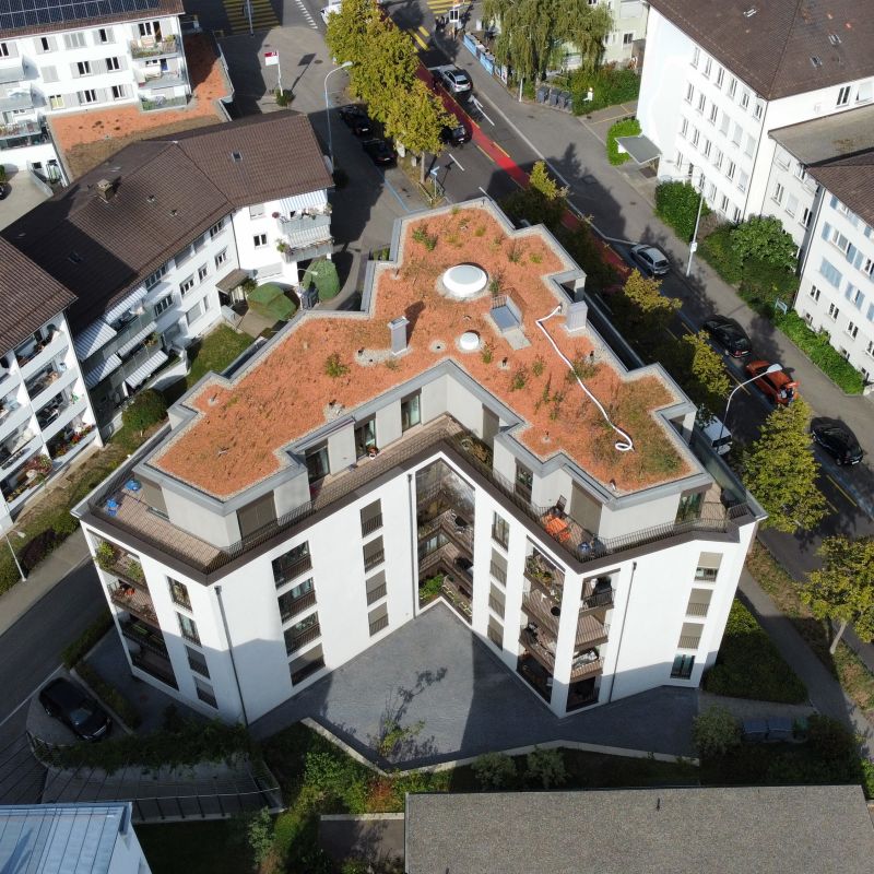 Allenmoosstrasse, 8006 Zürich